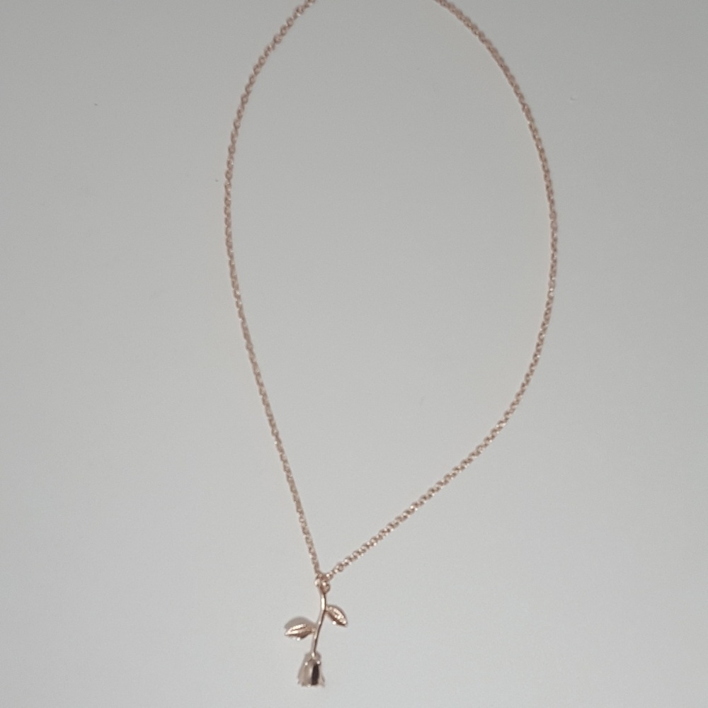 5 / 50% off NWOT Gorgeous Rose gold rose necklace - Picture 3 of 3